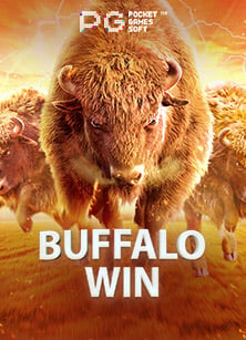 สมัคร ace333 ฟรี เครดิตจี คลับ 6666 รวยได้จริงหรือ?